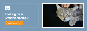 adopt-a-cat