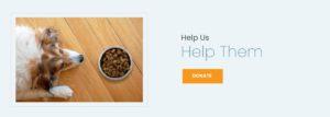 donate