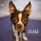 Dasher