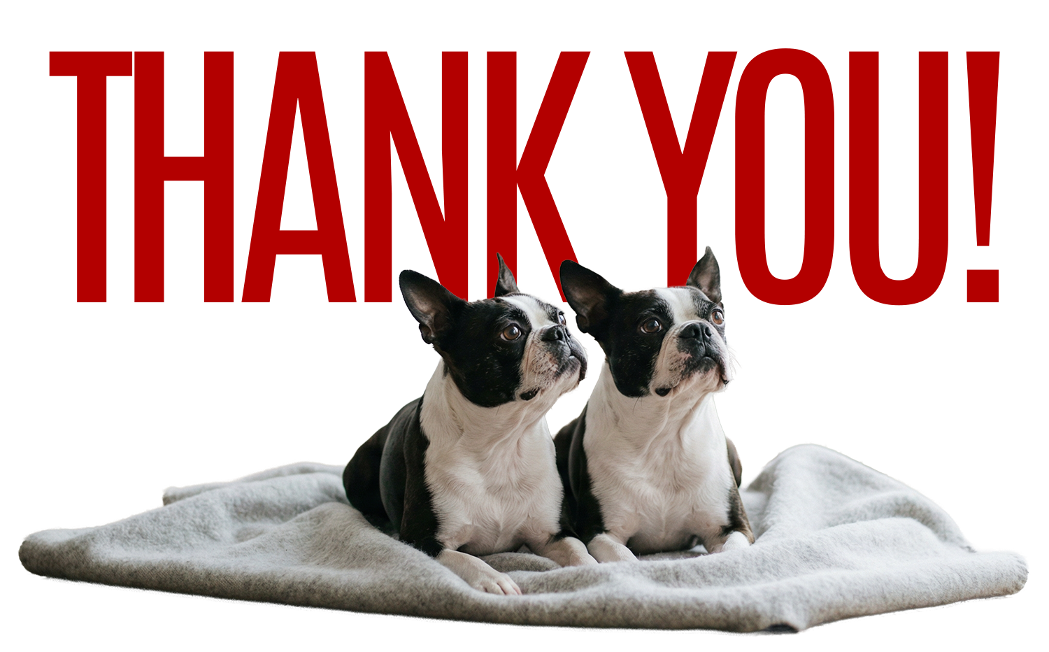 Giving Tree Buzz Thank You