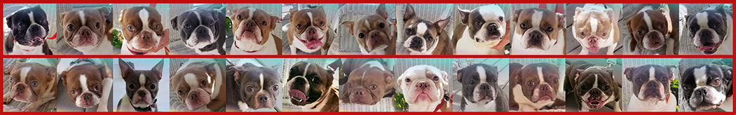 26 Faces