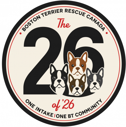 26of26 Logo