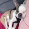 Buster