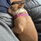 Lola