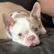 Lola