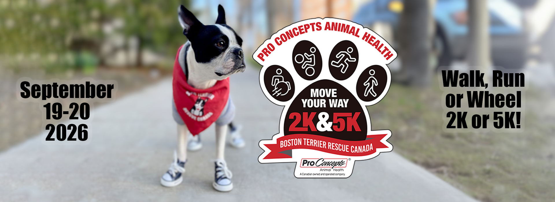 Canada Helps + Buzz Header 2026